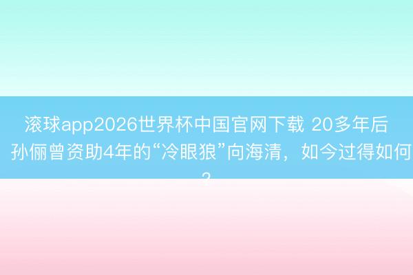 滚球app2026世界杯中国官网下载 20多年后,孙俪曾资助4年的“冷眼狼”向海清,如今过得如何?
