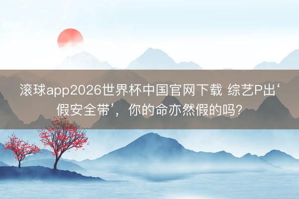滚球app2026世界杯中国官网下载 综艺P出‘假安全带’,你的命亦然假的吗?