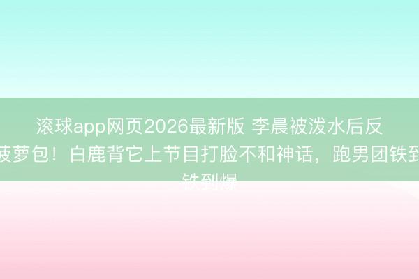 滚球app网页2026最新版 李晨被泼水后反送菠萝包!白鹿背它上节目打脸不和神话,跑男团铁到爆