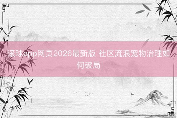 滚球app网页2026最新版 社区流浪宠物治理如何破局