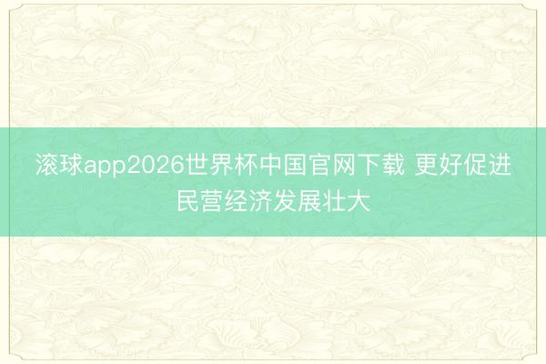 滚球app2026世界杯中国官网下载 更好促进民营经济发展壮大