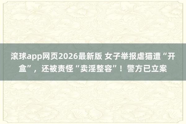 滚球app网页2026最新版 女子举报虐猫遭“开盒”，还被责怪“卖淫整容”！警方已立案